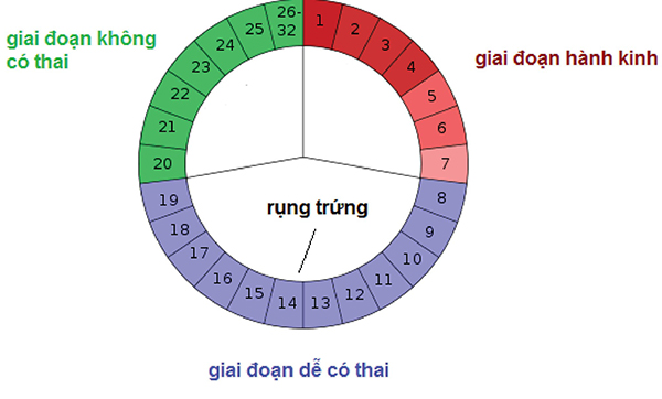 cach-tinh-chu-ky-kinh-nguyet-32-ngay Không phải chị em nào cũng biết cách tính chu kỳ kinh nguyệt 32 ngày