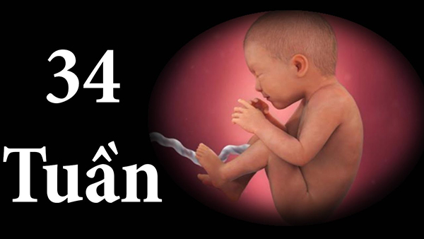 can-nang-thai-nhi-34-tuan Cân nặng thai nhi 34 tuần
