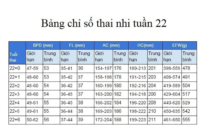 chi-so-thai-nhi-tuan-22 Chỉ số thai nhi tuần 22