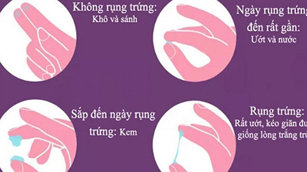 Dấu hiệu nhận biết ngày rụng trứng