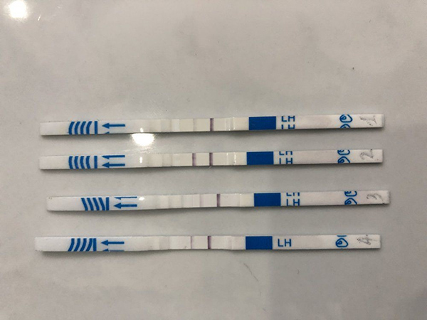 ket-qua-que-thu-rung-trung Khi nào que thử trứng cho kết quả không chính xác