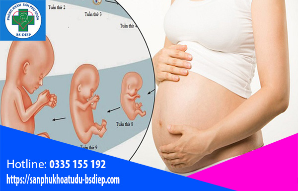 suy-sinh-duong-bao-thai Suy dinh dưỡng bào thai