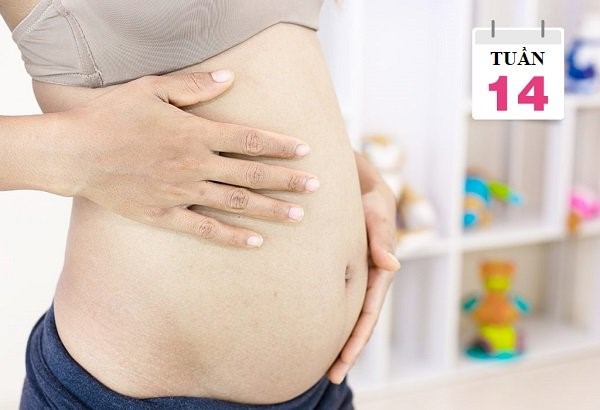 thai-14-tuan-da-bet-trai-hay-gai-chua Thai 14 tuần biết trai hay gái chưa