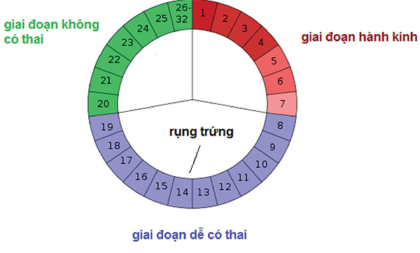tinh-ngay-an-toan-1 Tính ngày an toàn