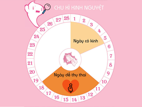 tinh-ngay-rung-trung-theo-chu-ky-kinh-nguyet cách tính ngày rụng trứng để sinh con trai