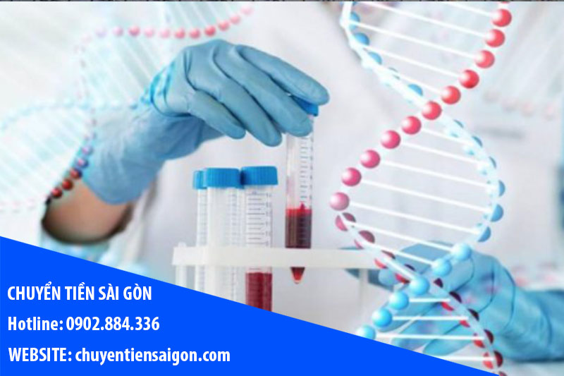 xet-nghiem-nit-phat-hien-nguy-co Xét nghiệm NIT phát hiện nguy cơ